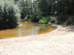 Dinkel in het Lutterzand